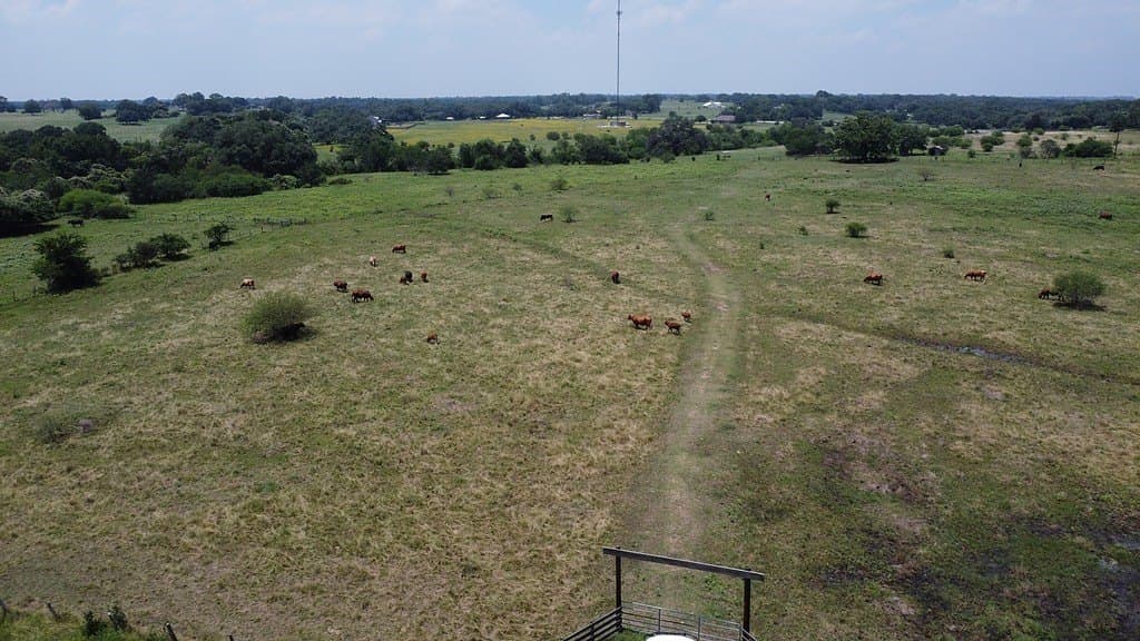 34.75 acres in Lavaca County gallery image 4