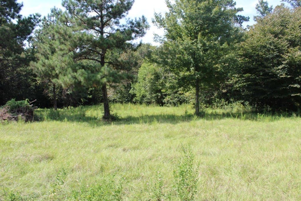 3.87 acres in Texas County featured view