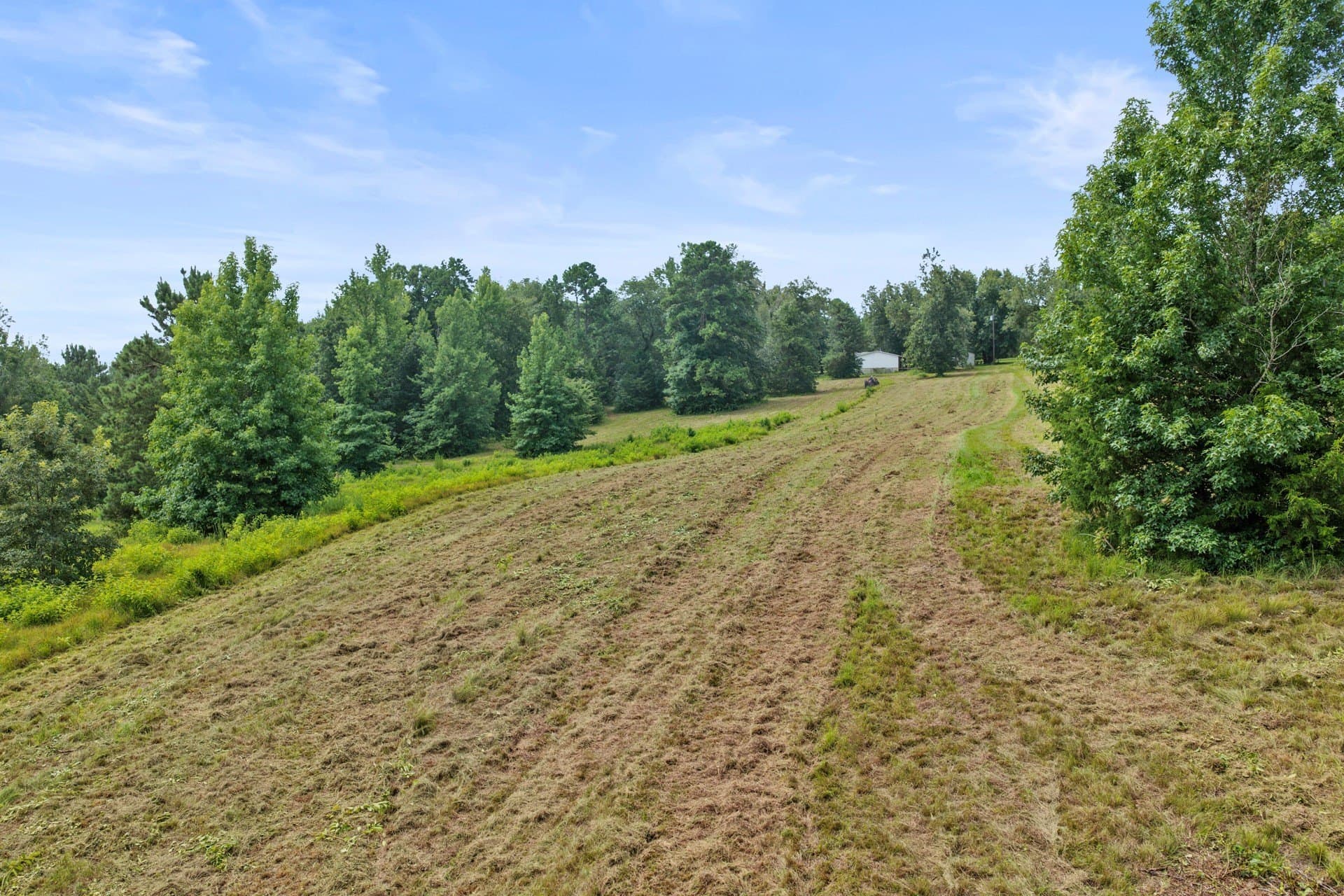 38.83 acres in Cass County - photo 14