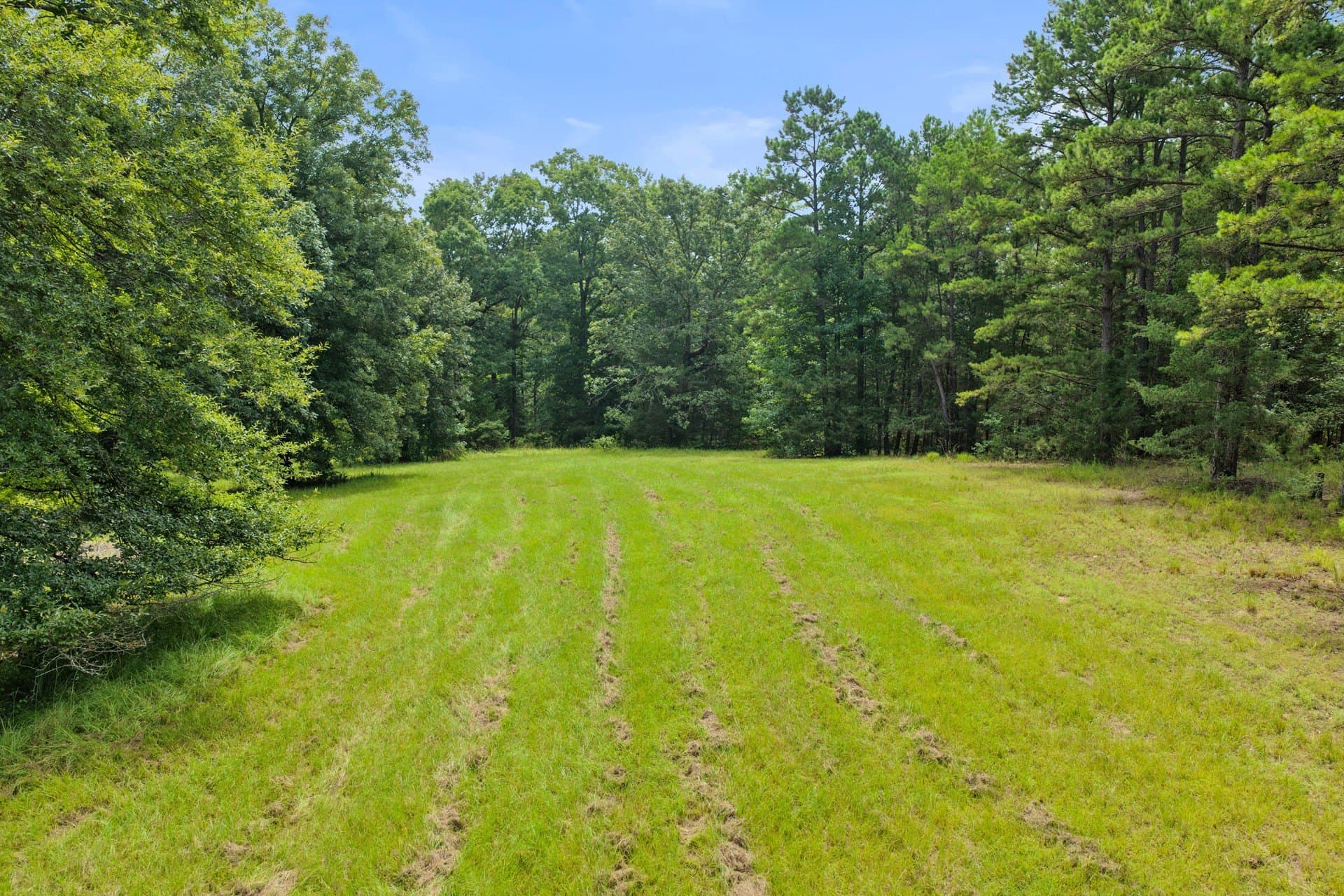 38.83 acres in Cass County - photo 17