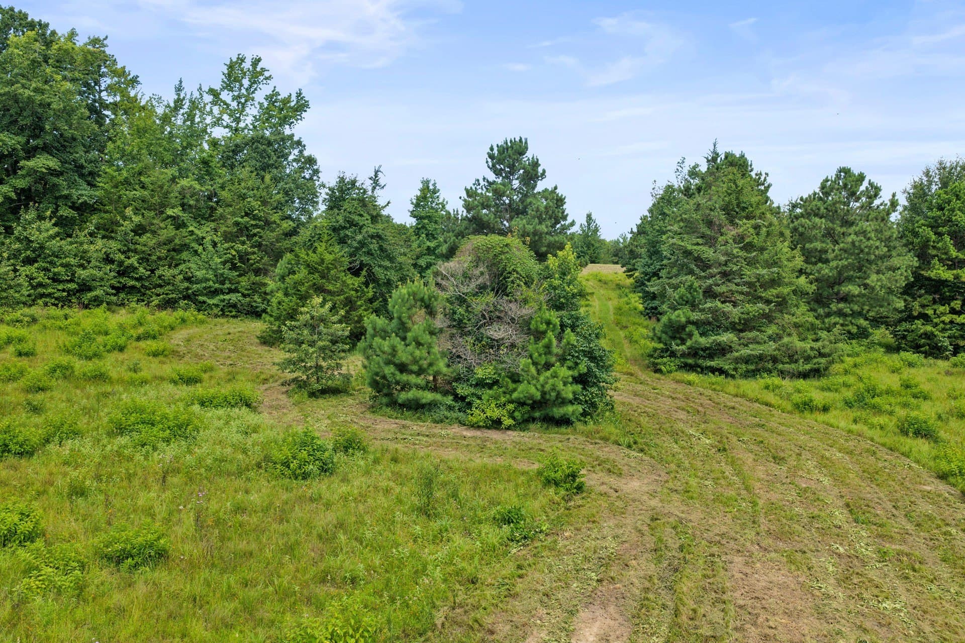 38.83 acres in Cass County - photo 13