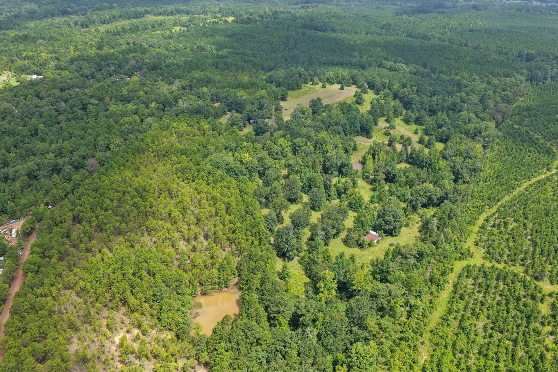 38.83 acres in Cass County - photo 6