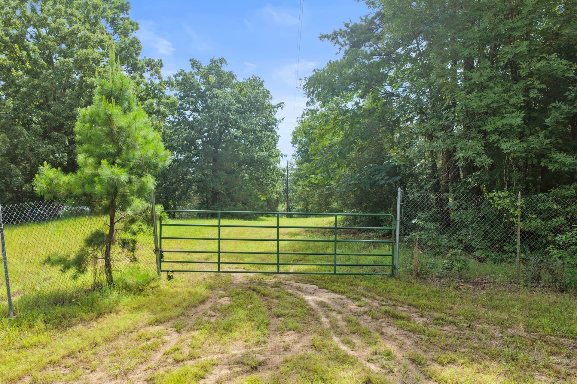 38.83 acres in Cass County - photo 3