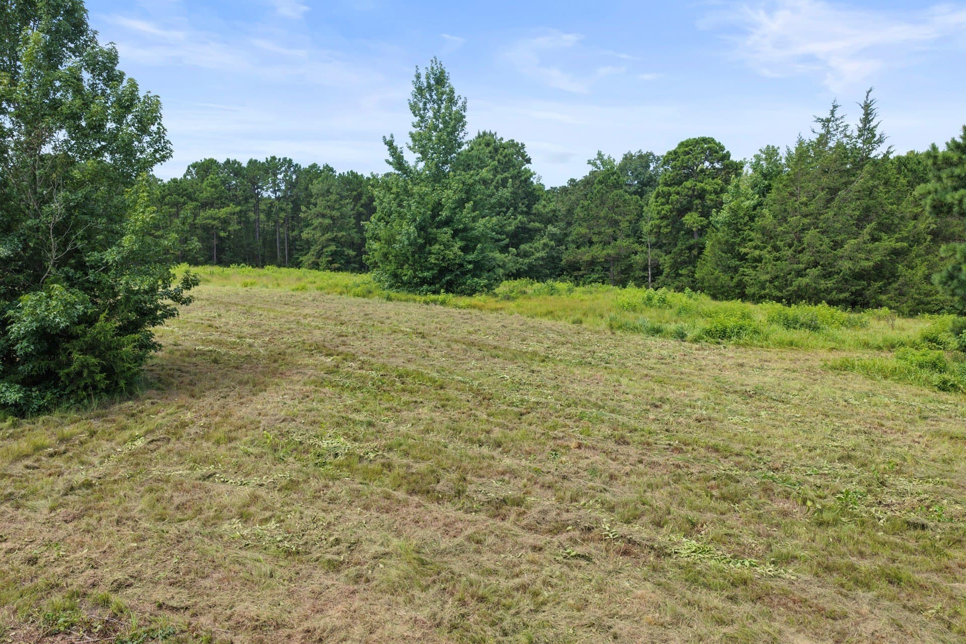 38.83 acres in Cass County - photo 12