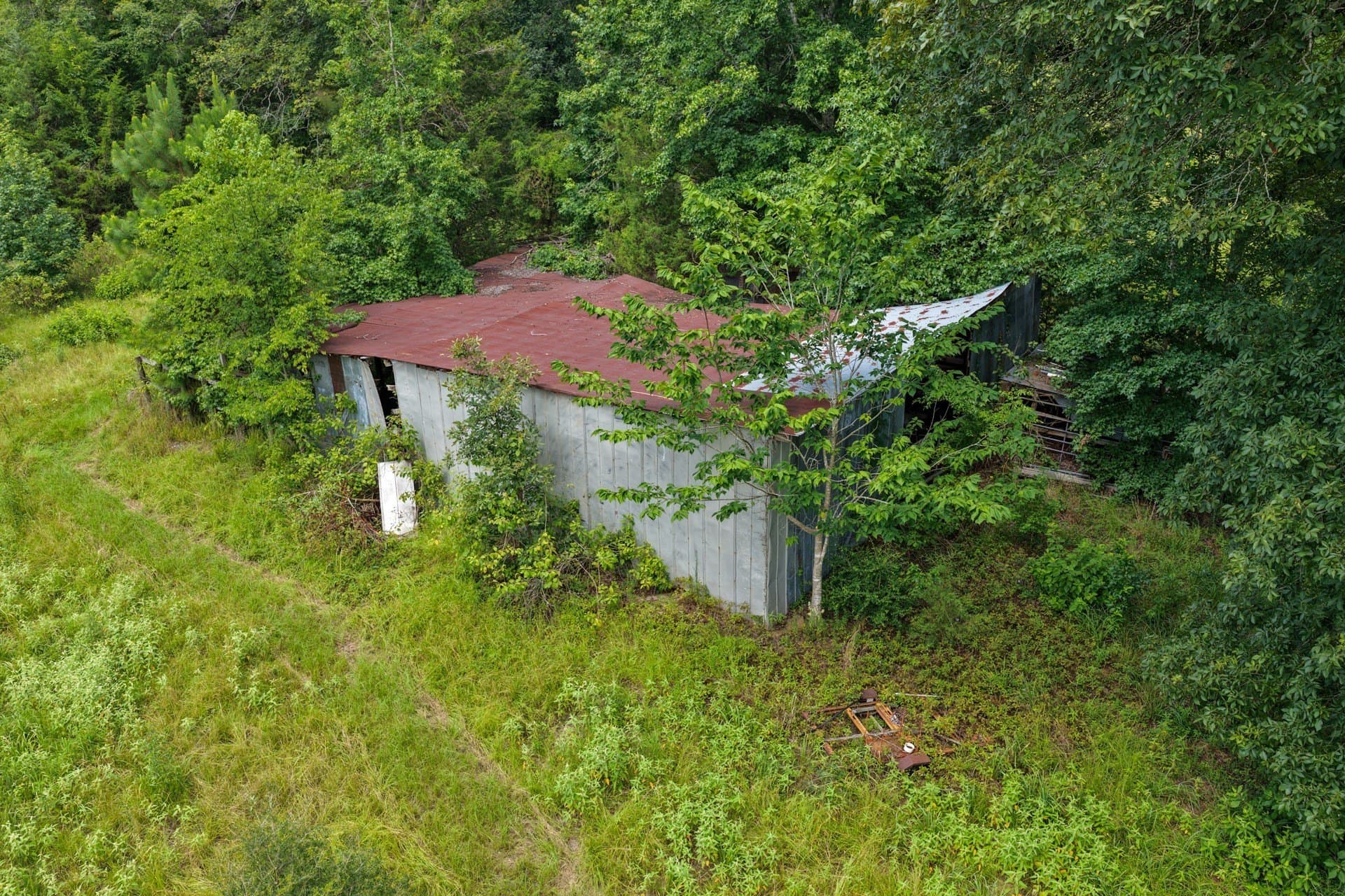 38.83 acres in Cass County - photo 9