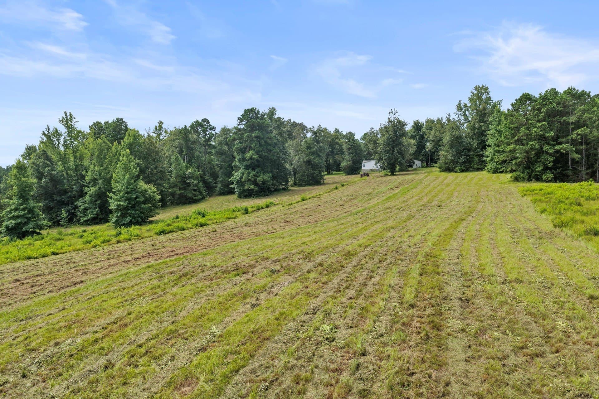 38.83 acres in Cass County - photo 16