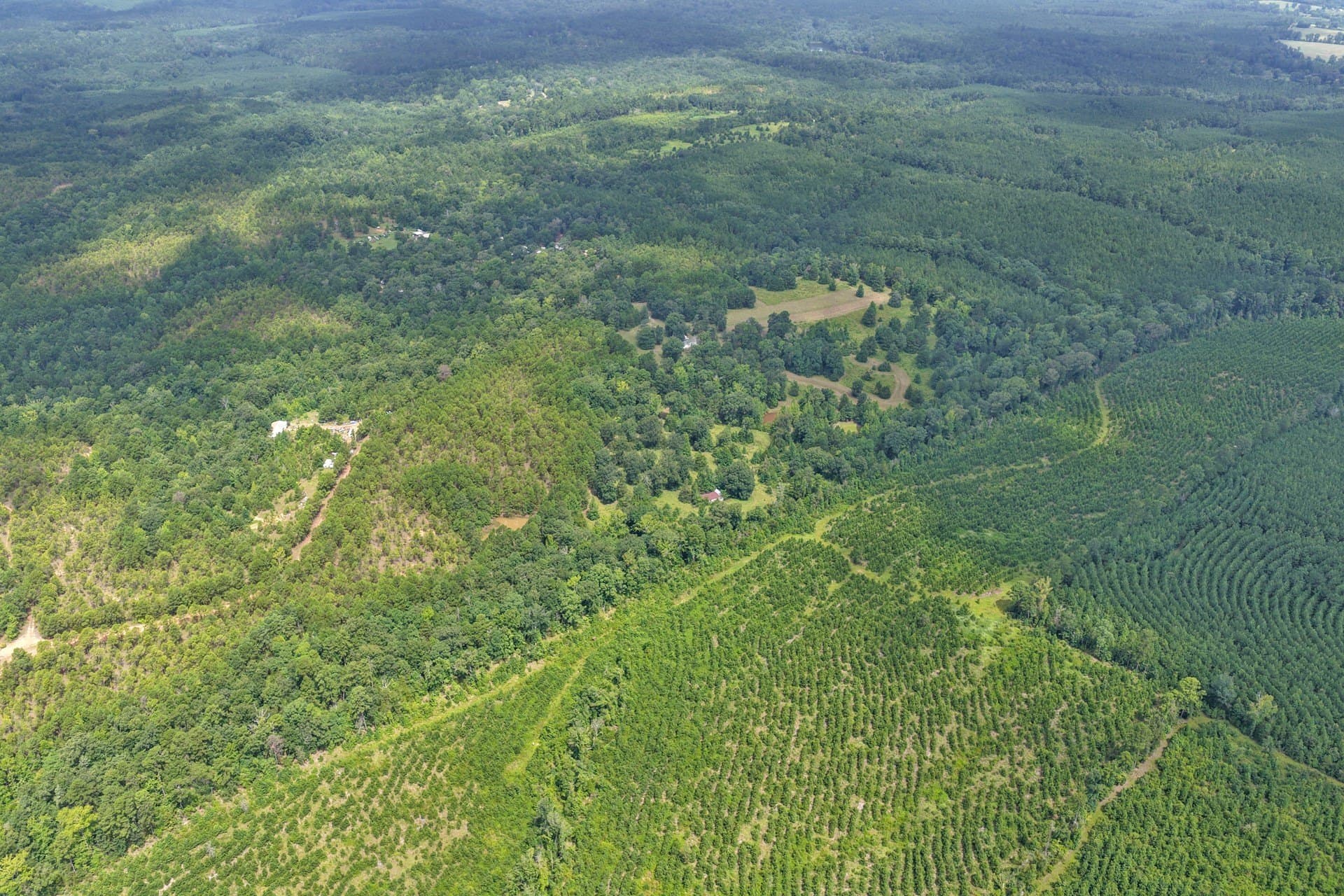 38.83 acres in Cass County - photo 7