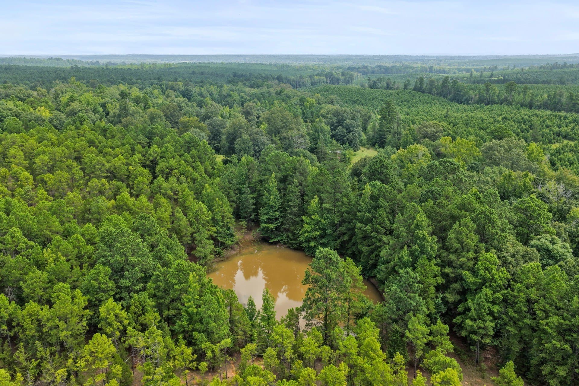 38.83 acres in Cass County - photo 10