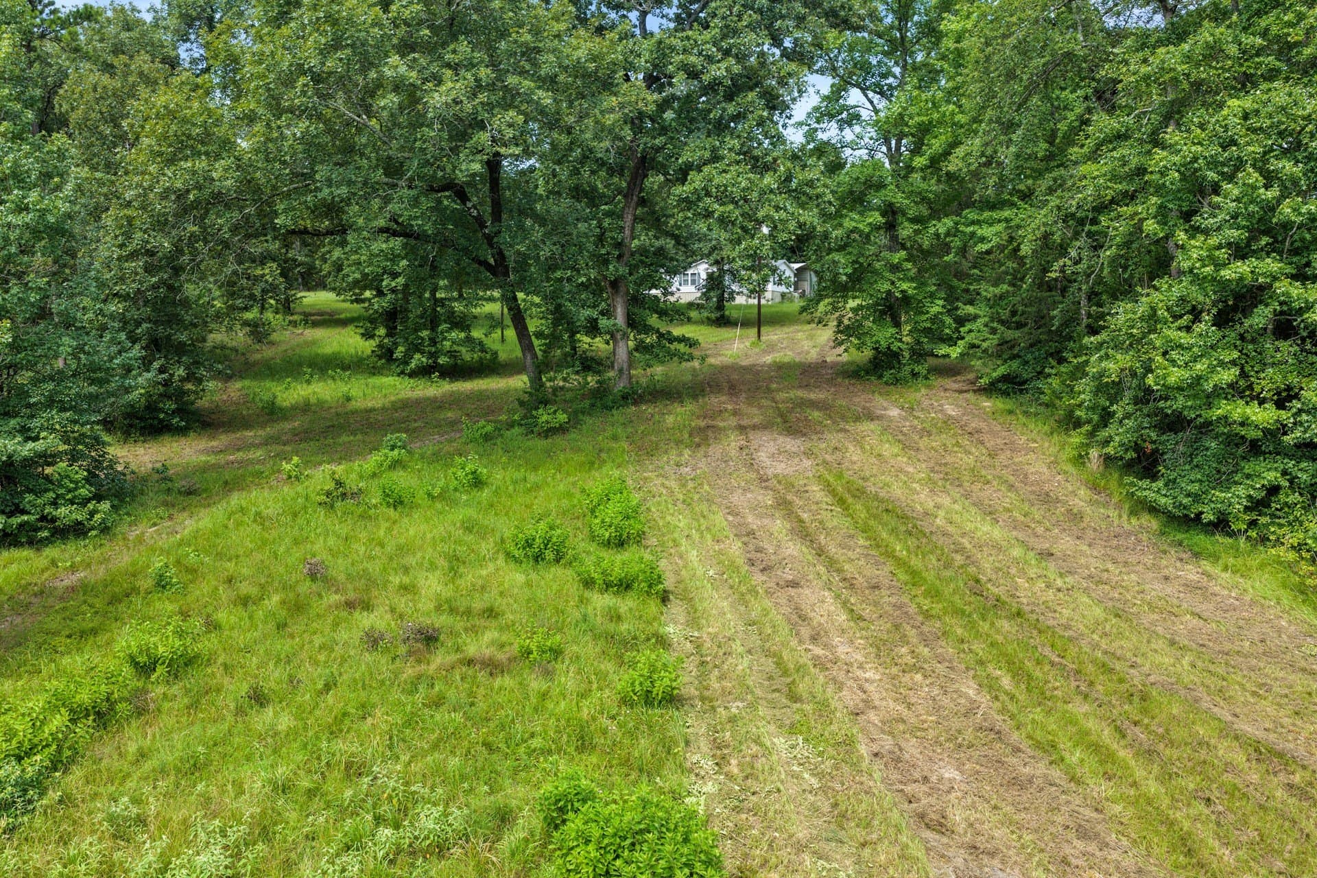 38.83 acres in Cass County - photo 11