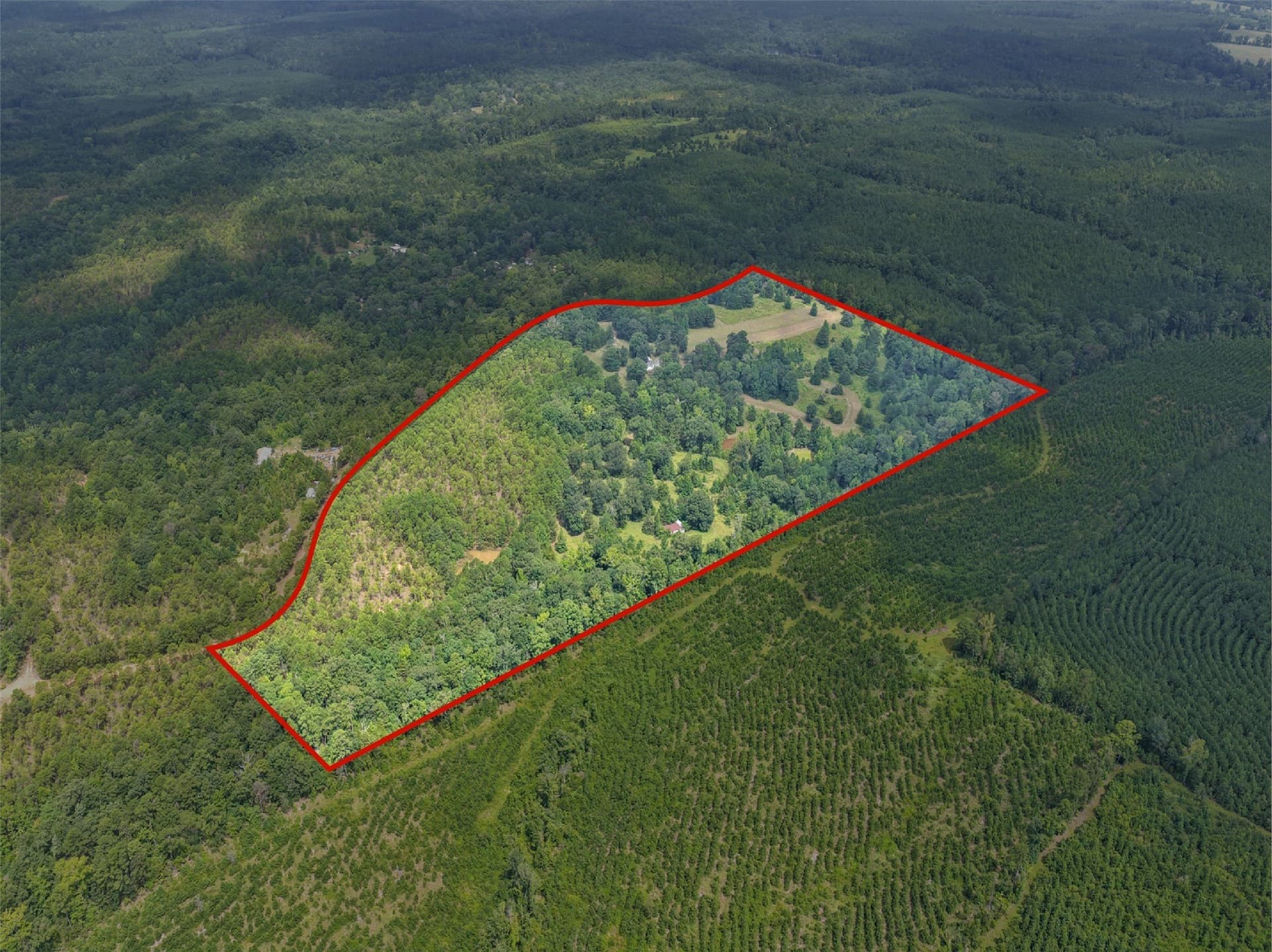 38.83 acres in Cass County - photo 5