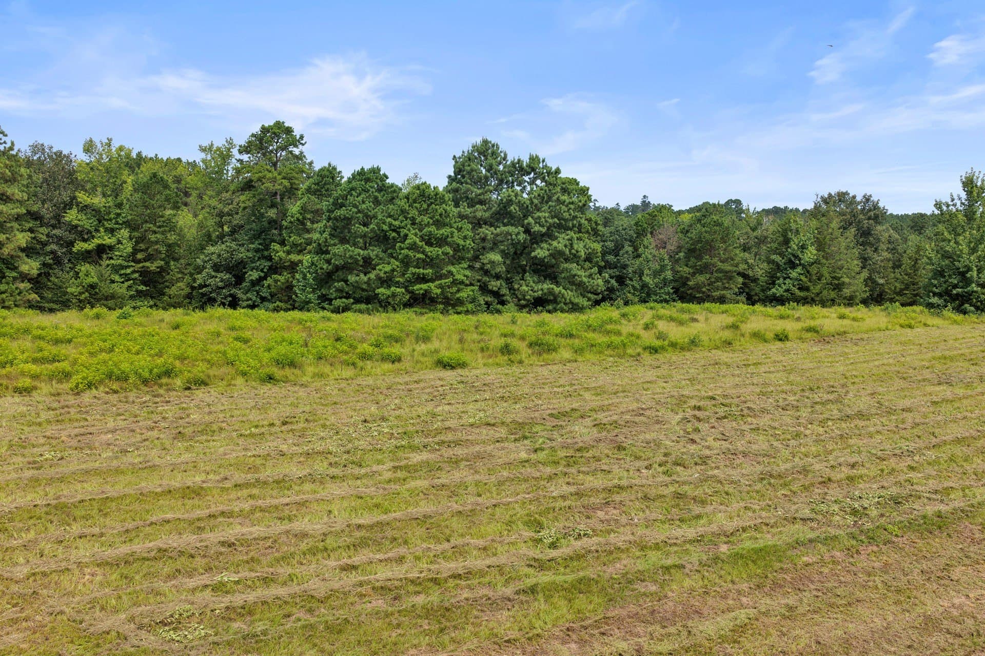 38.83 acres in Cass County - photo 19