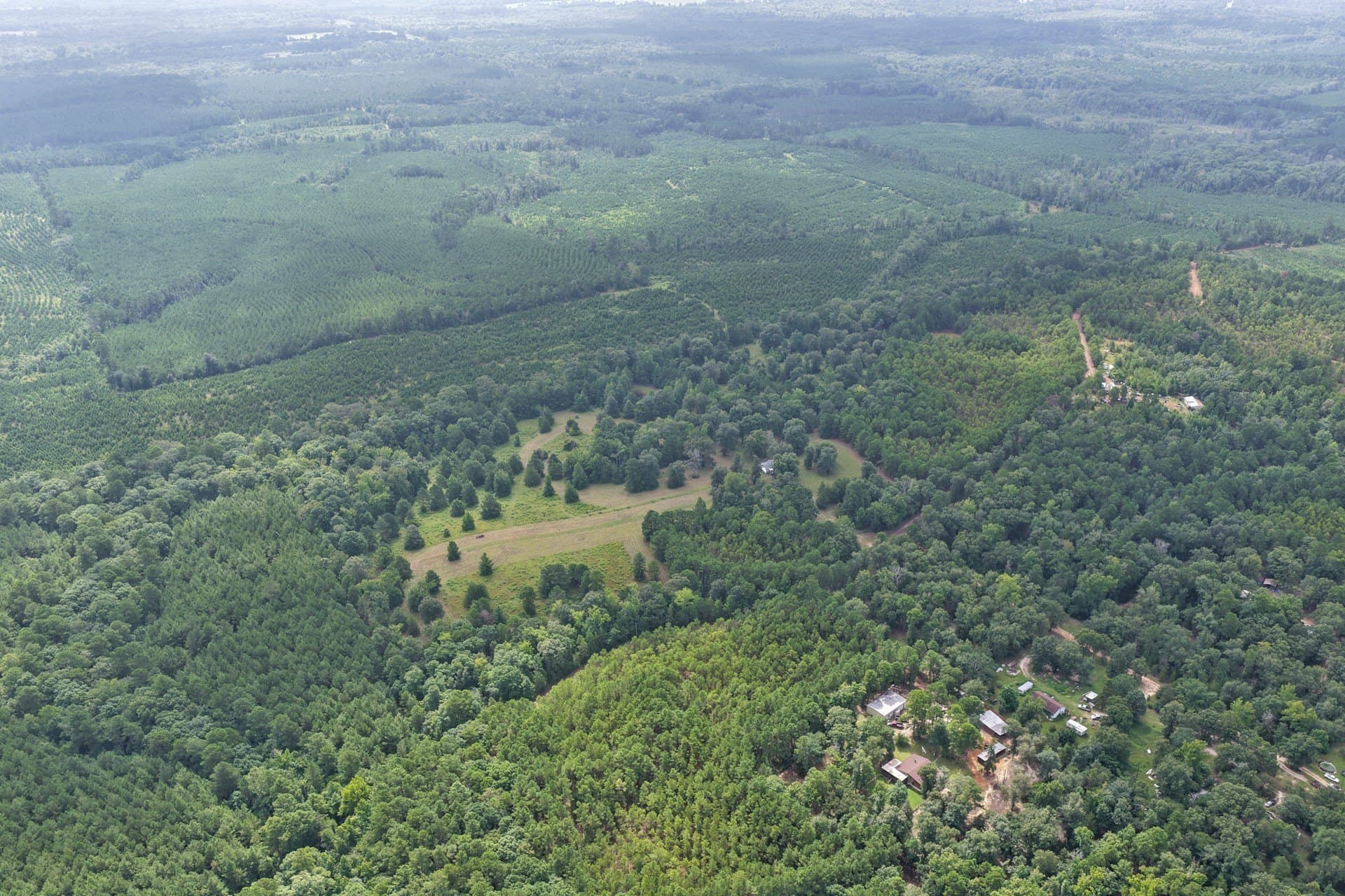 38.83 acres in Cass County - photo 8