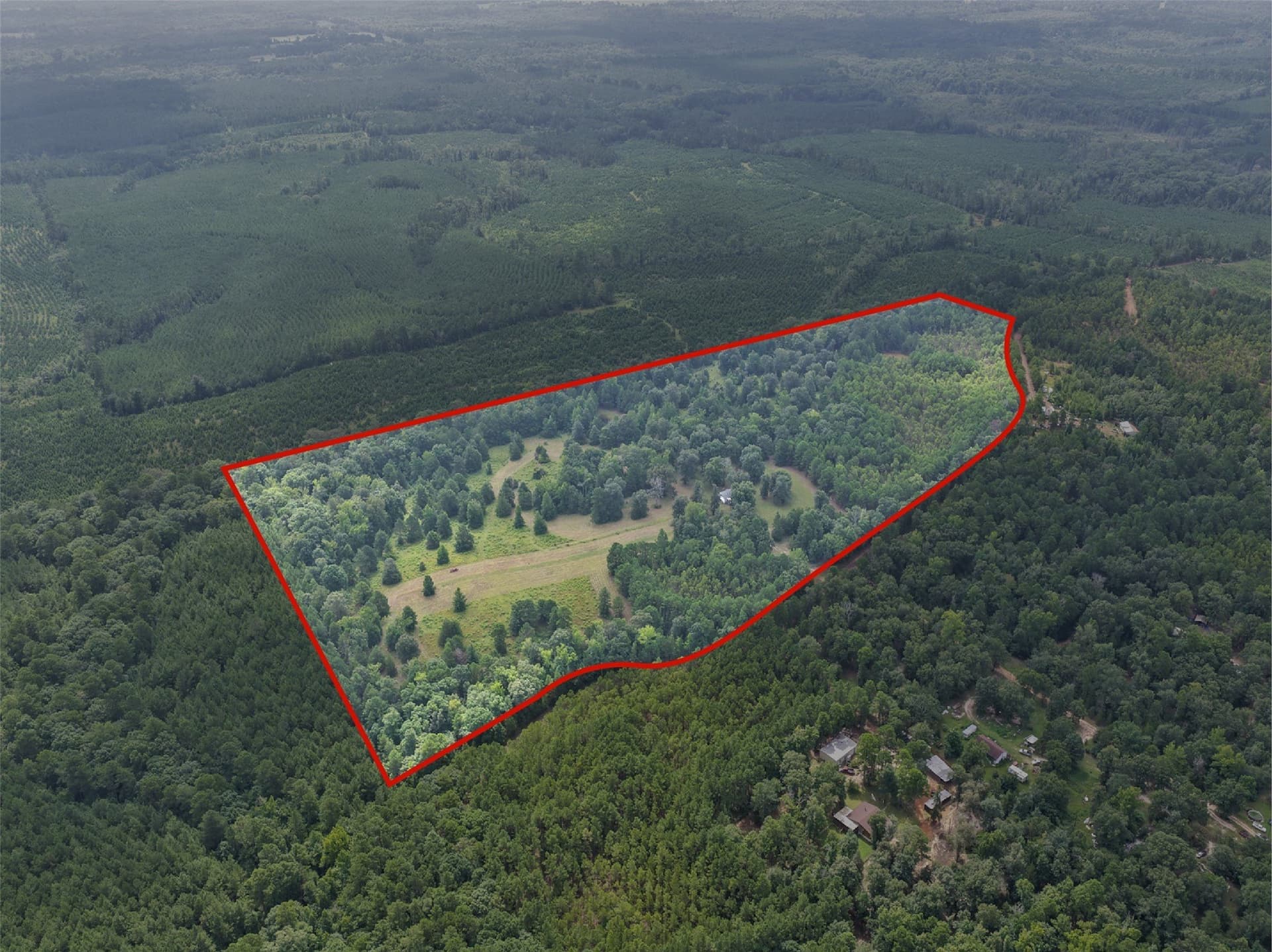38.83 acres in Cass County - photo 4