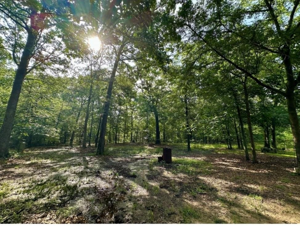 33.47 acres in Lamar County gallery image 3