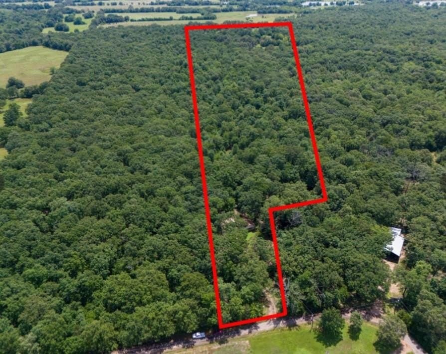 33.47 acres in Lamar County gallery image 4