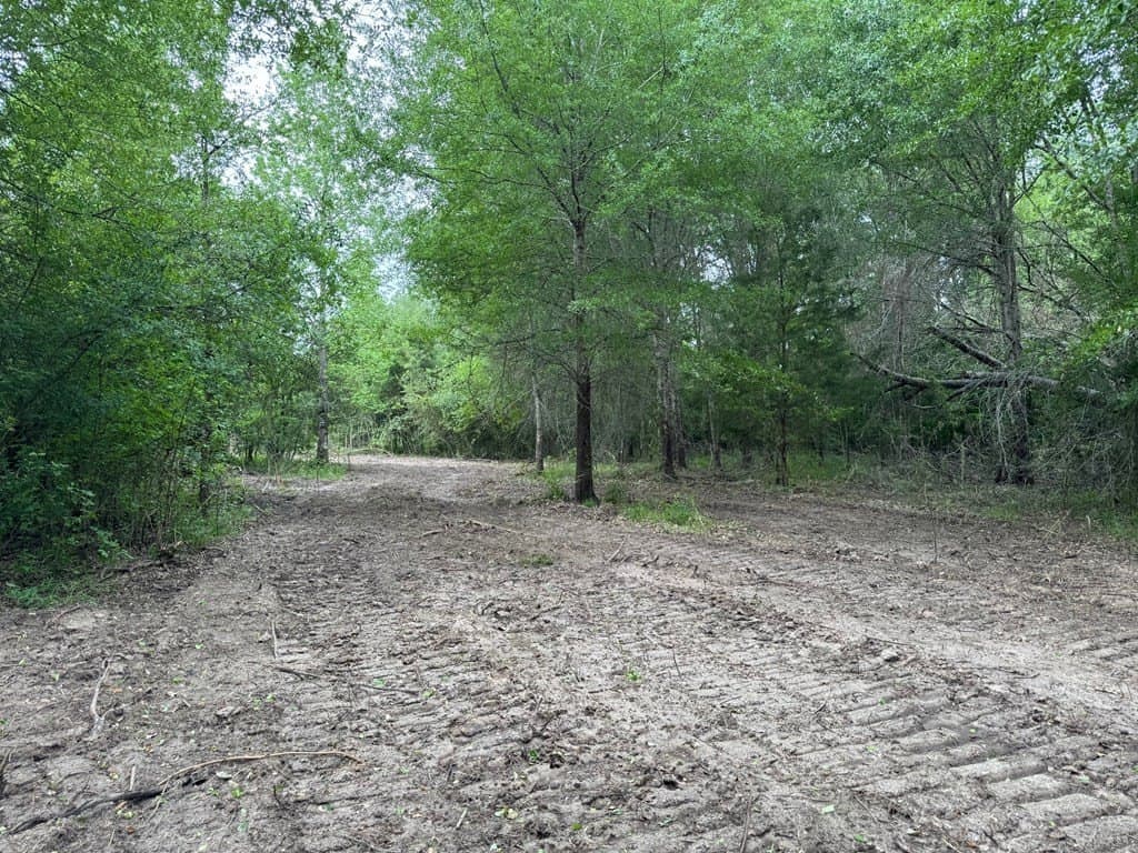 93.89 acres in Texas County - photo 34