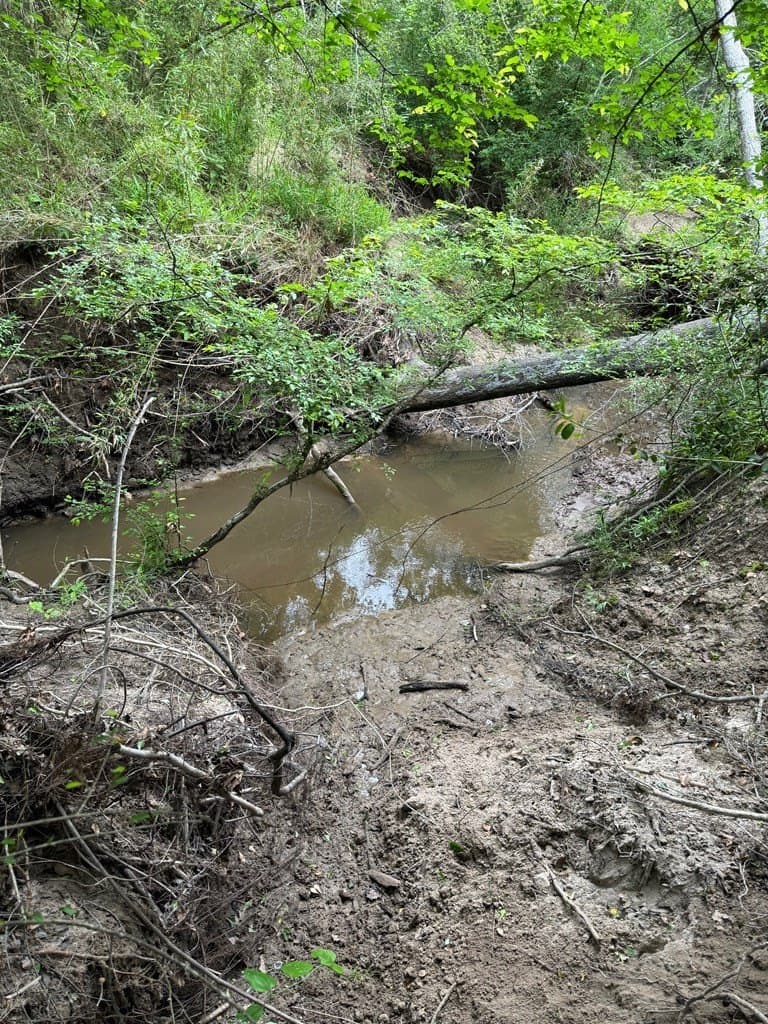 93.89 acres in Texas County - photo 13