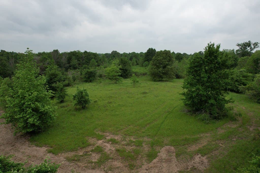 93.89 acres in Texas County - photo 28