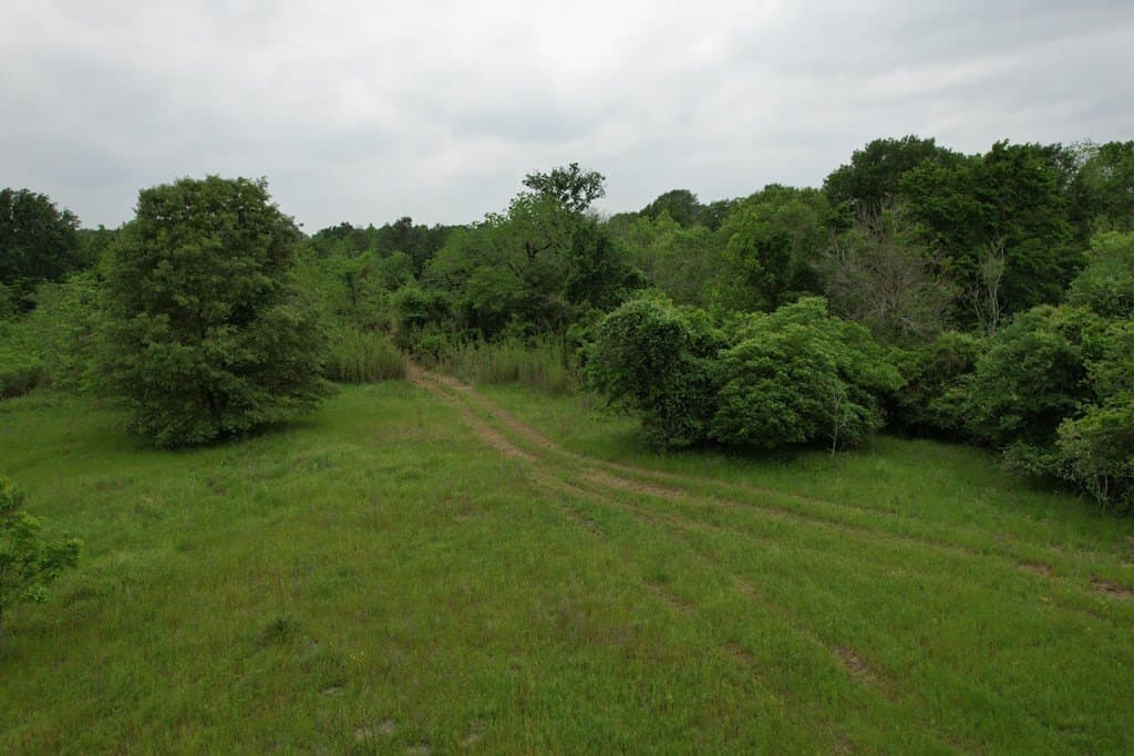 93.89 acres in Texas County - photo 31