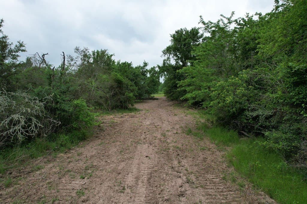 93.89 acres in Texas County - photo 27