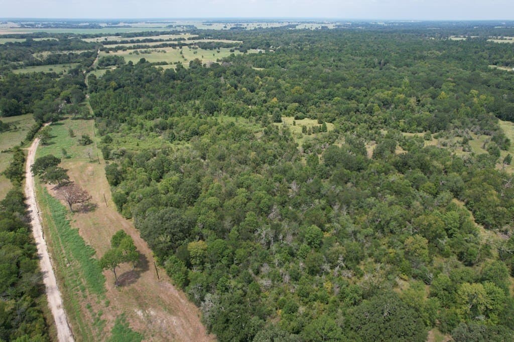 93.89 acres in Texas County - photo 4