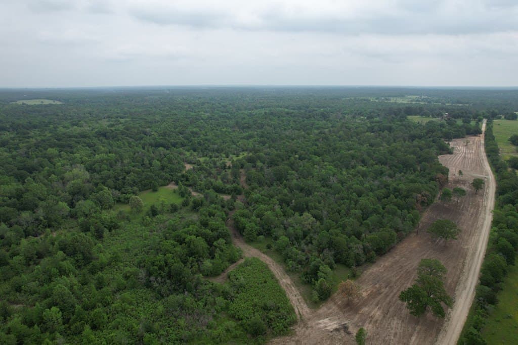 93.89 acres in Texas County - photo 21