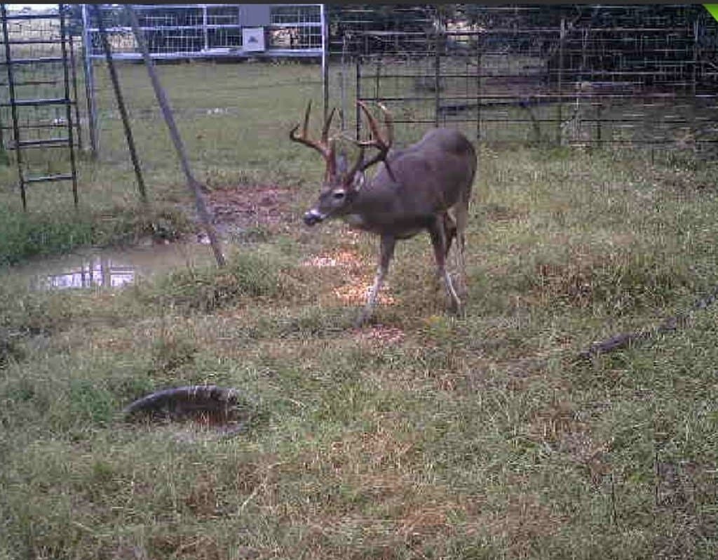 93.89 acres in Texas County - photo 44