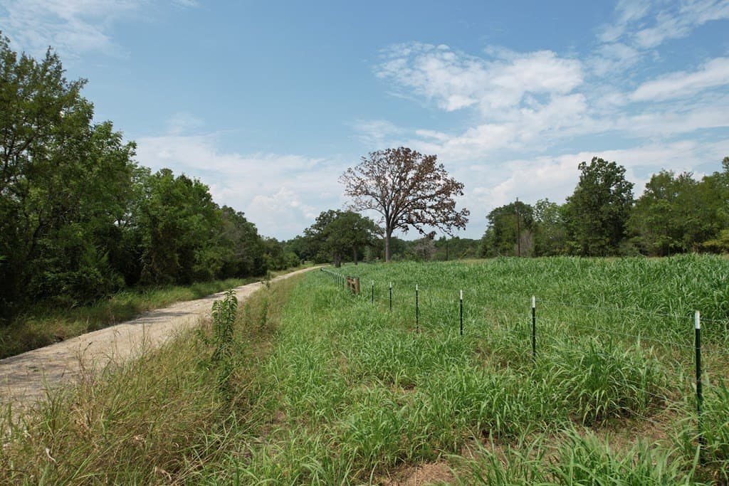 93.89 acres in Texas County - photo 36