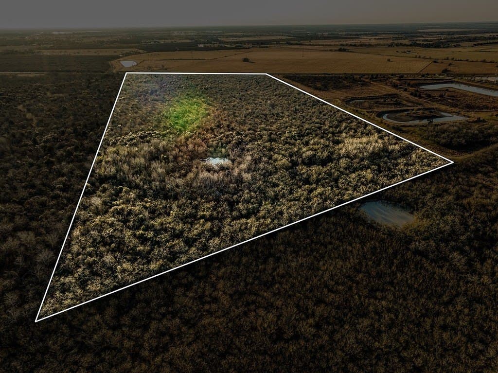 62 acres in Austin County featured view