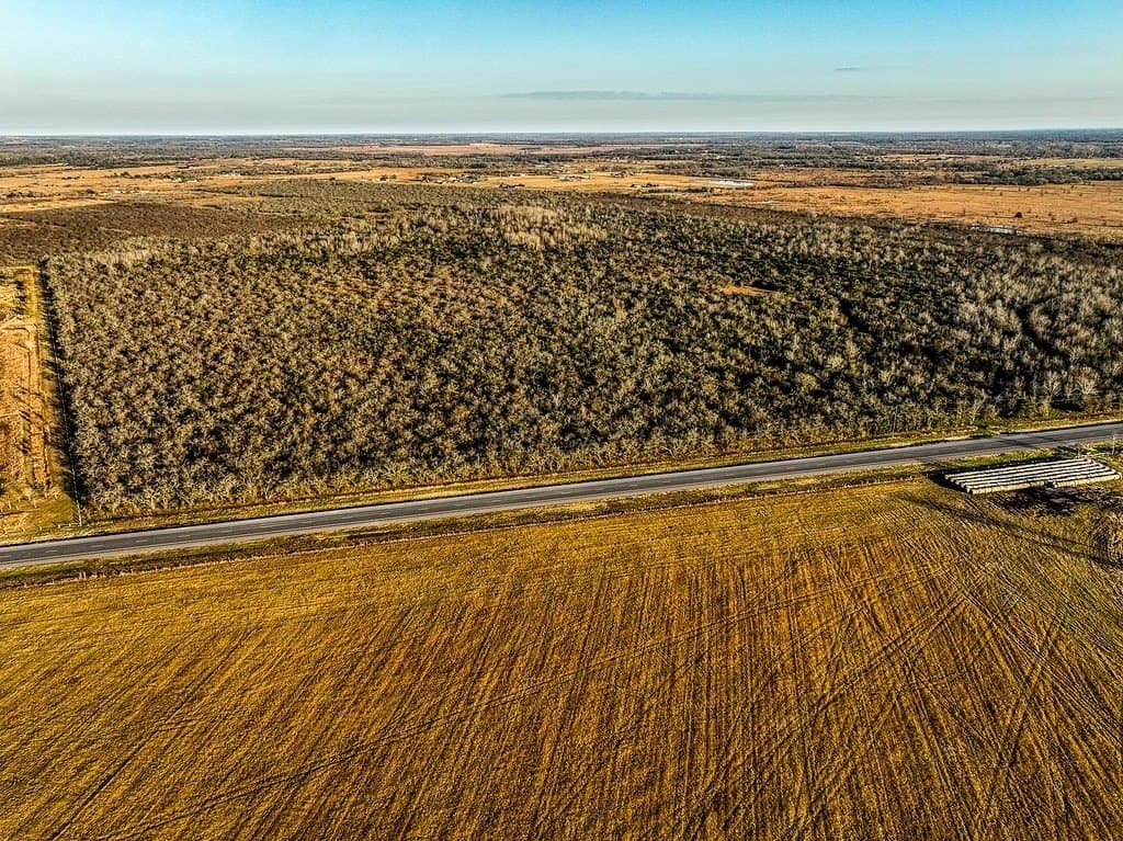62 acres in Austin County gallery image 2