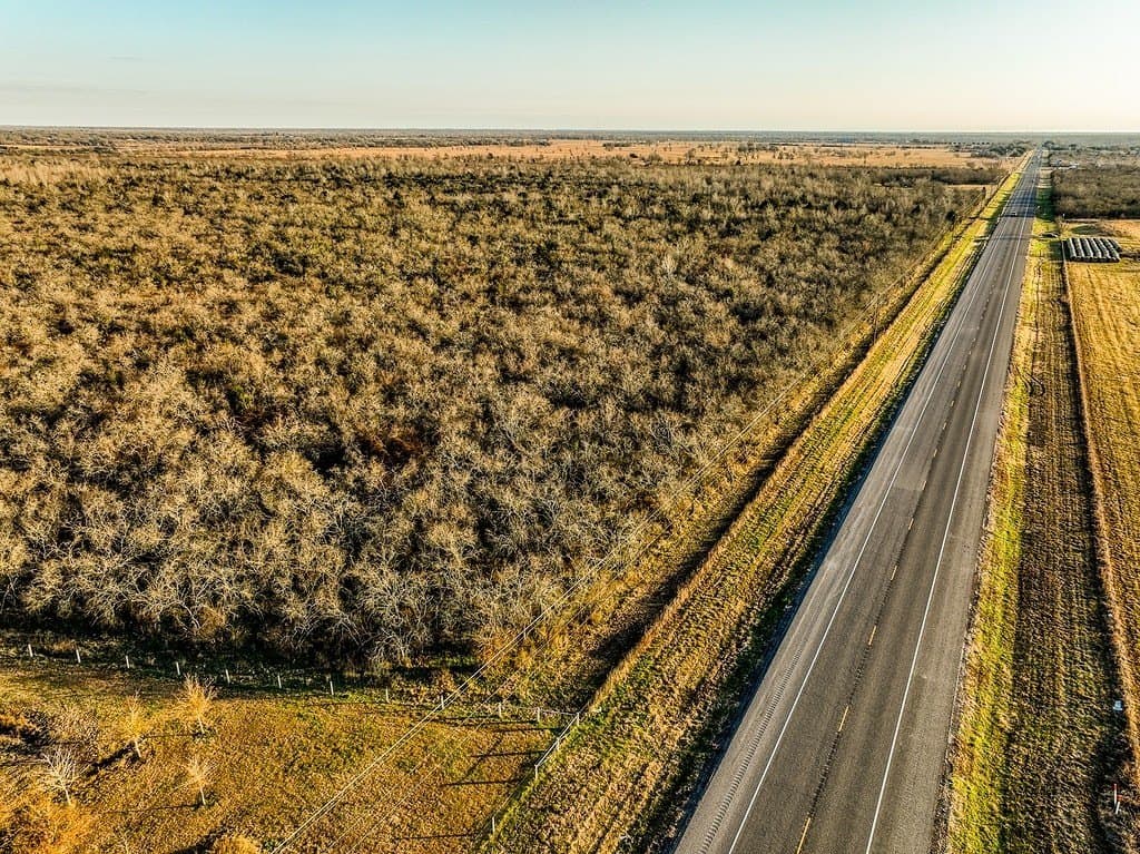 62 acres in Austin County gallery image 3