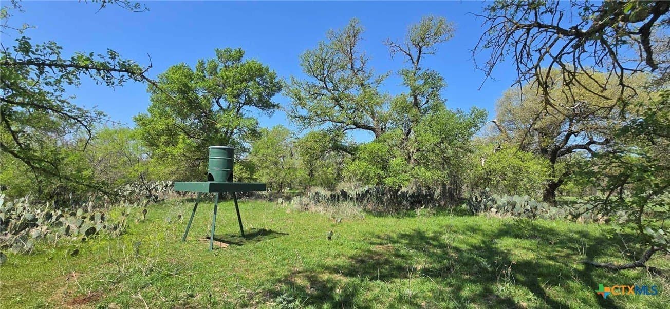 41.92 acres in Bell County featured view