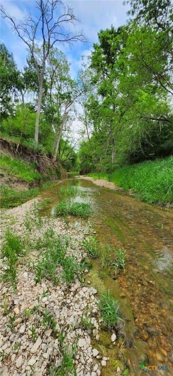 41.92 acres in Bell County gallery image 2