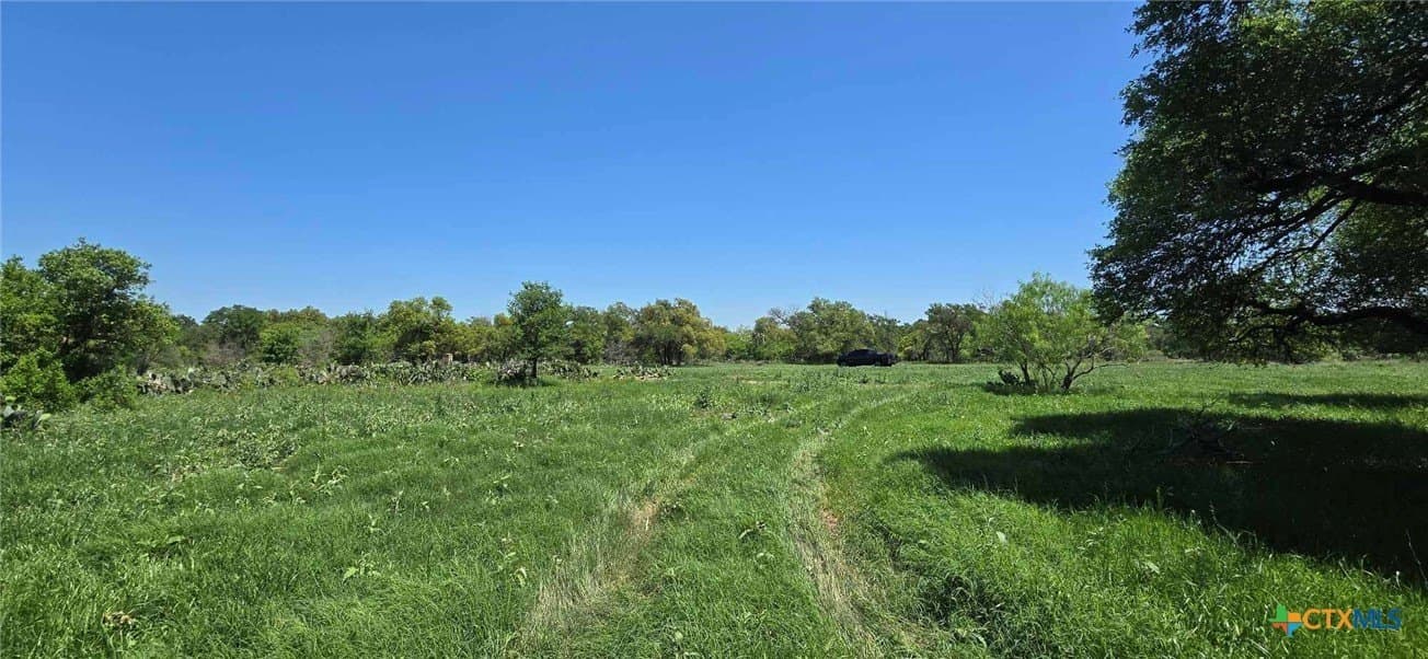 41.92 acres in Bell County gallery image 4