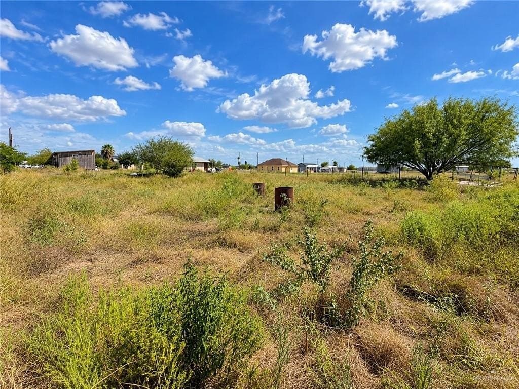 0.5 acres in Hidalgo County - photo 3