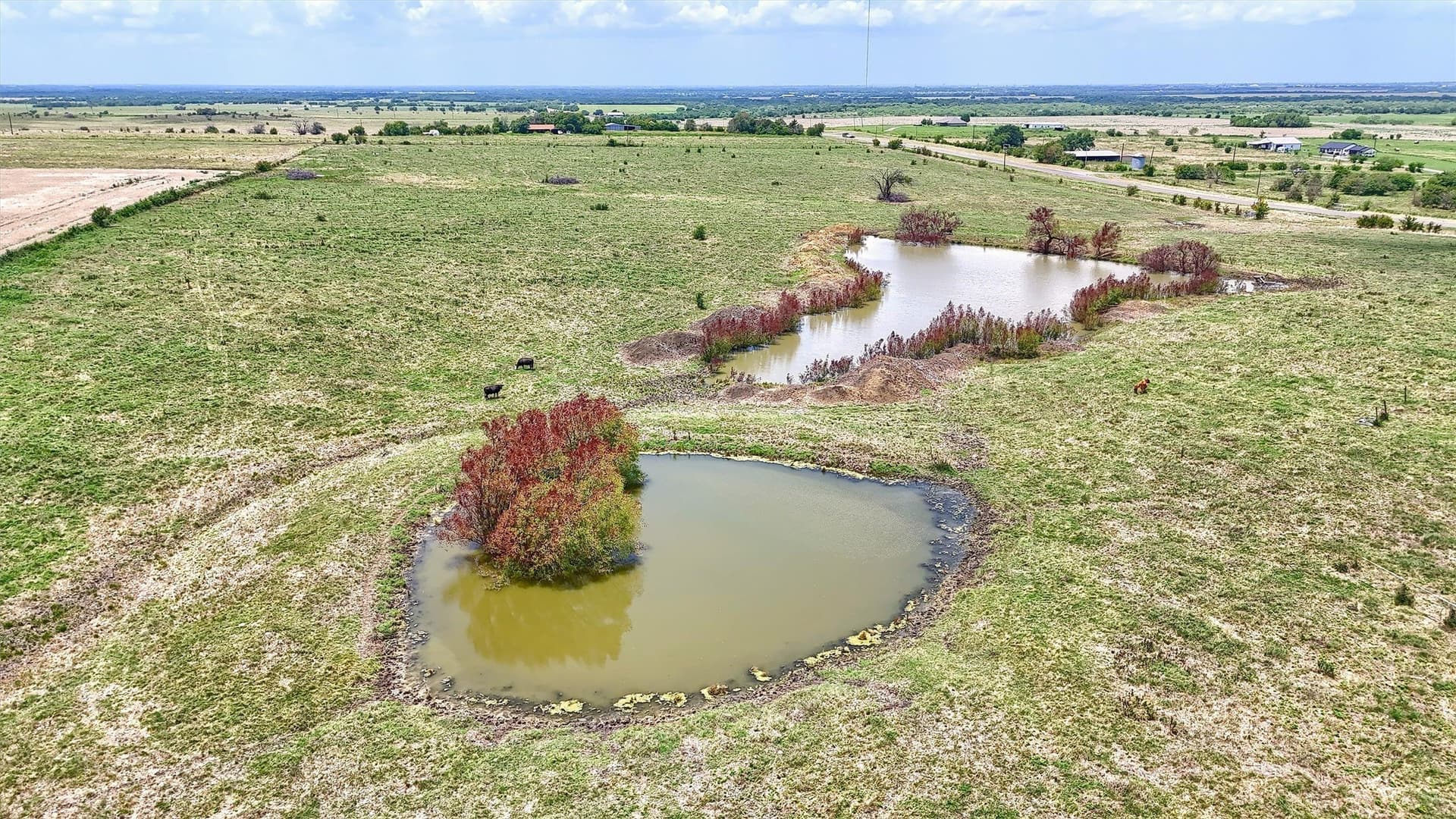 114.76 acres in Grayson County - photo 13