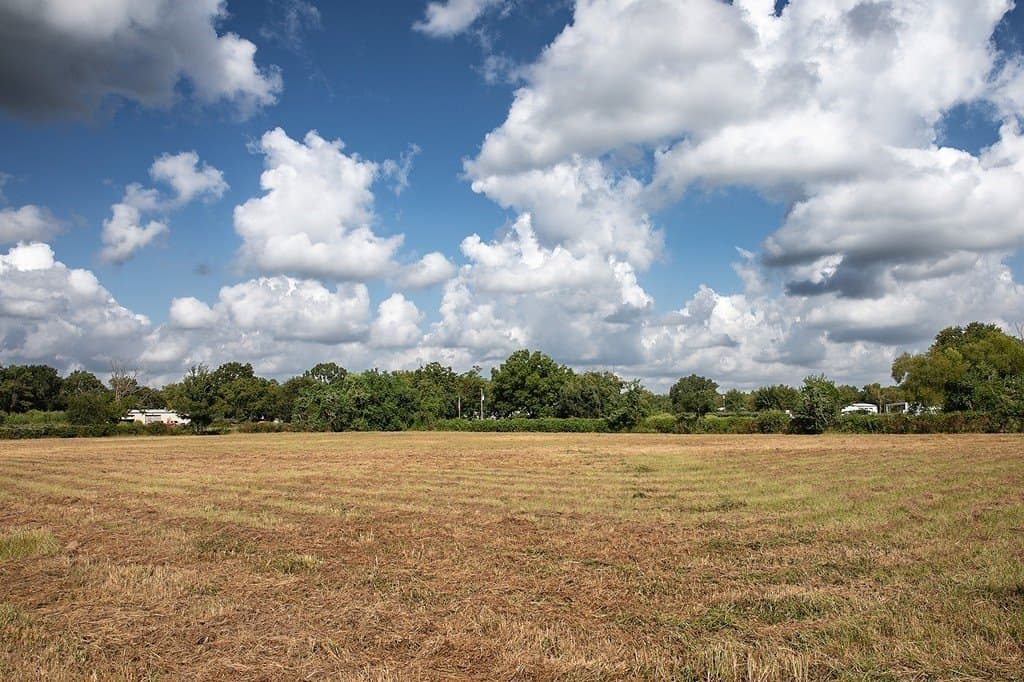 2 acres in Harris County gallery image 3