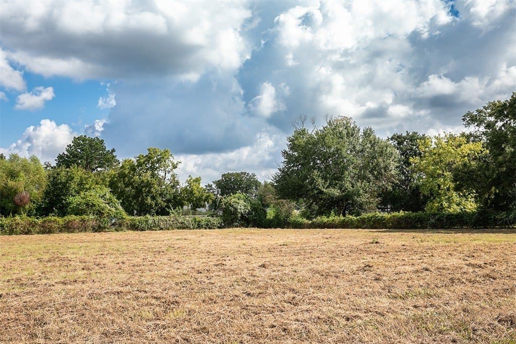 2 acres in Harris County gallery image 4