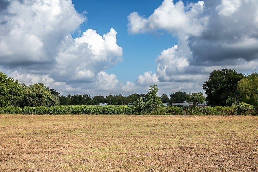 2 acres in Harris County featured view