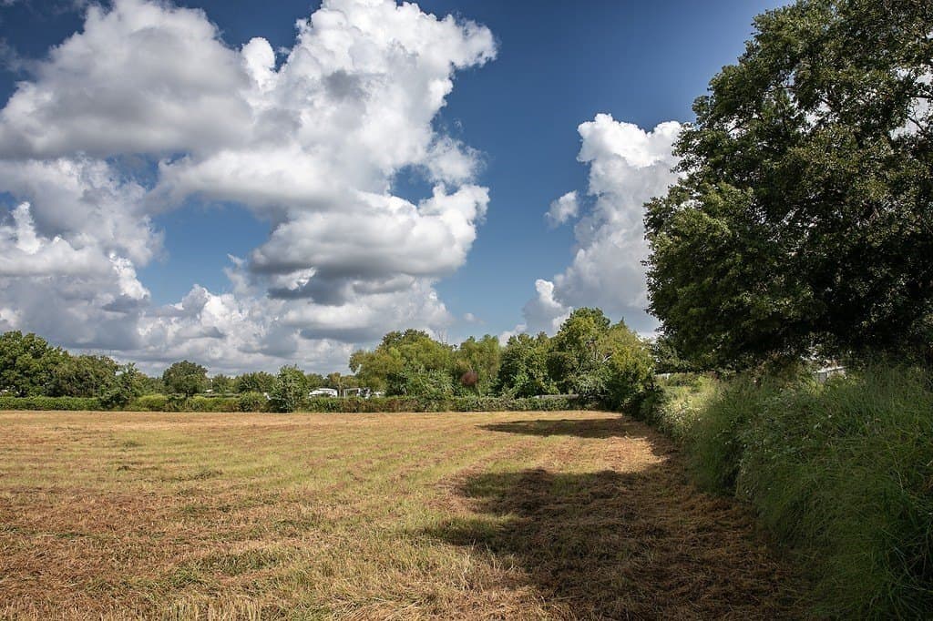 2 acres in Harris County
