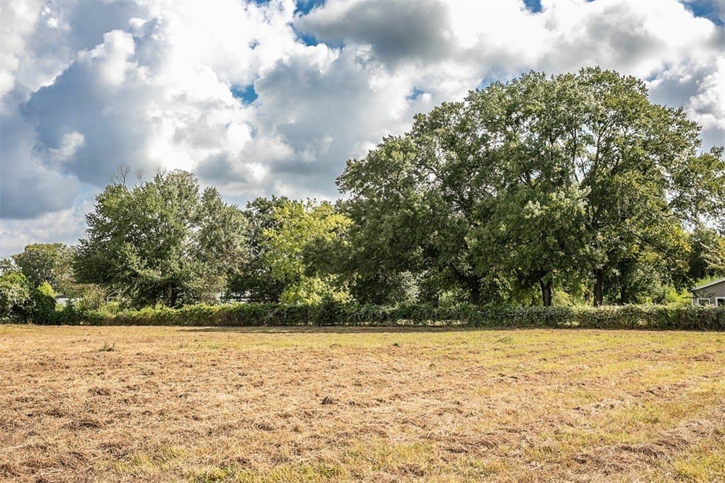 2 acres in Harris County gallery image 2