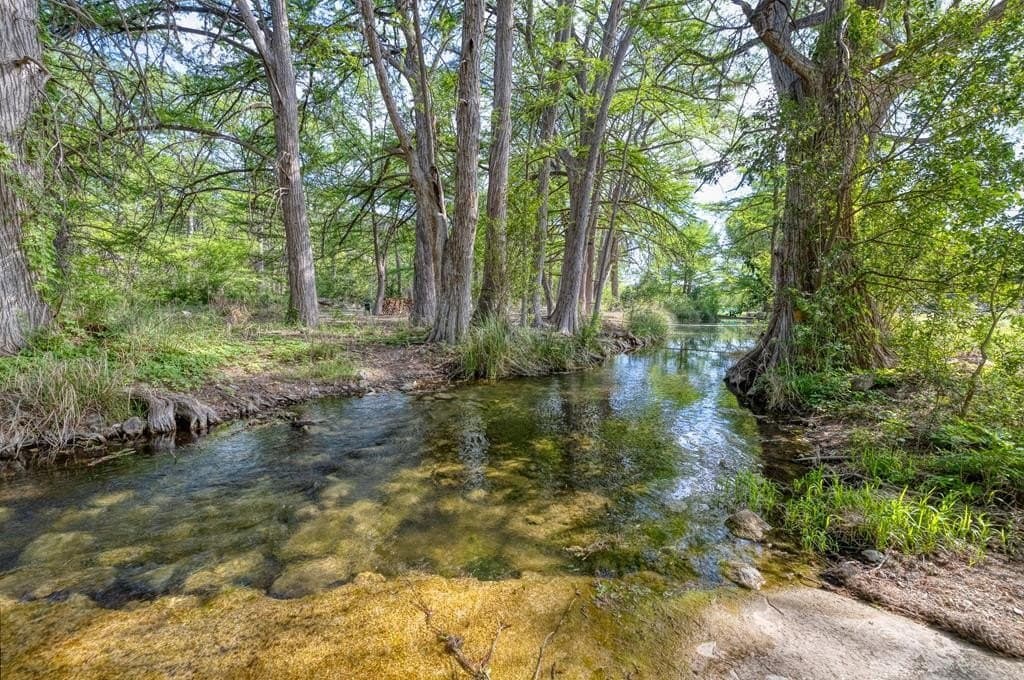 61.33 acres in Real County gallery image 2