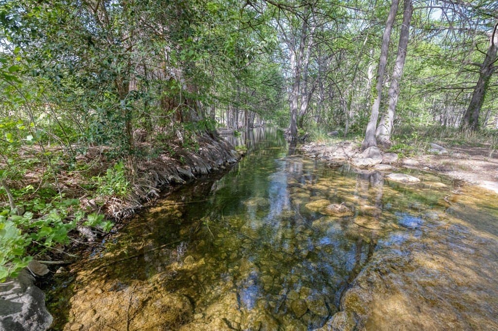 61.33 acres in Real County gallery image 3