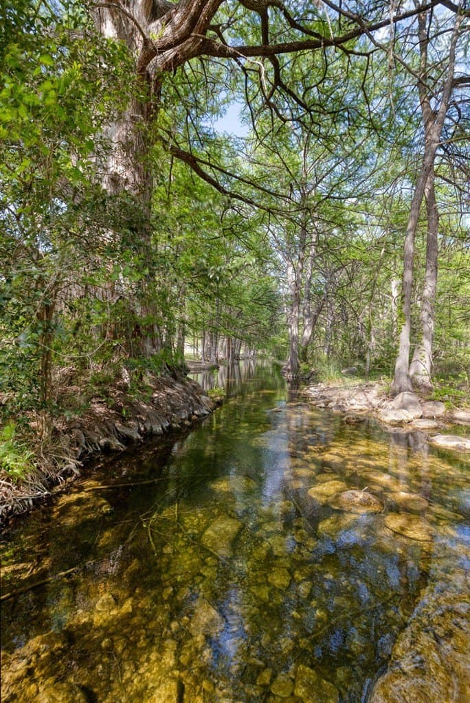 61.33 acres in Real County gallery image 4
