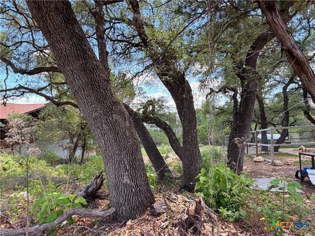0.3 acres in Comal County - photo 12