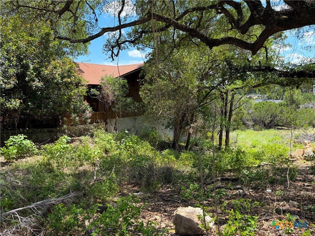0.3 acres in Comal County - photo 7