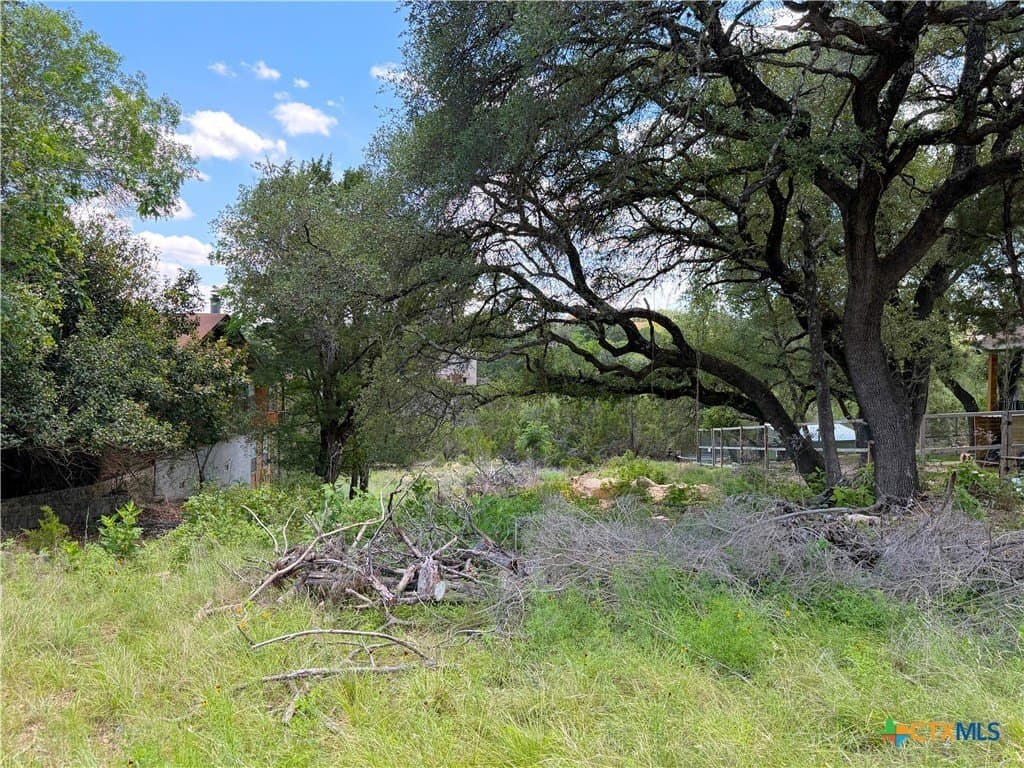 0.3 acres in Comal County gallery image 4