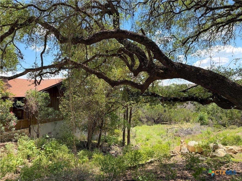 0.3 acres in Comal County - photo 6