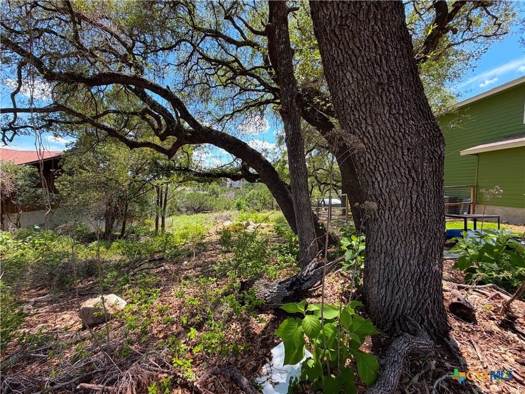 0.3 acres in Comal County - photo 13