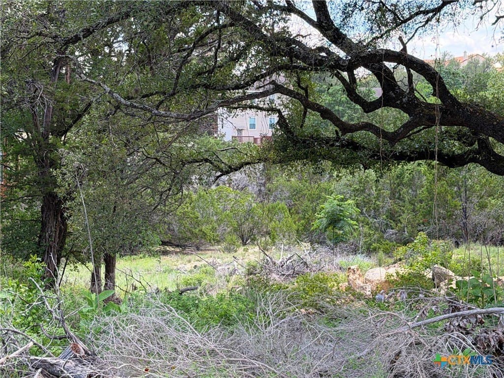 0.3 acres in Comal County - photo 16
